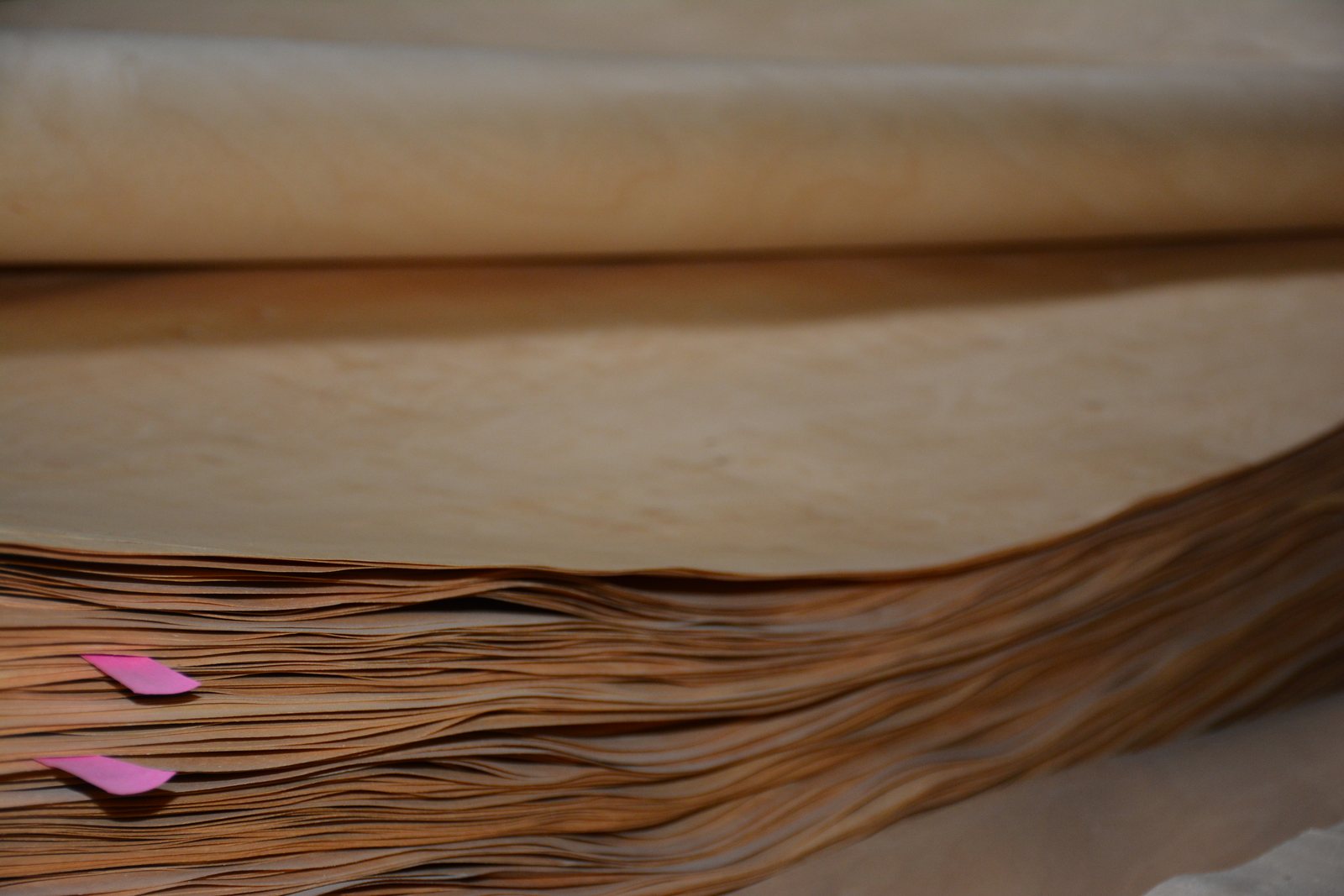 Birch Veneer Sheets | C+ to F Grades, 0.19-0.55 mm