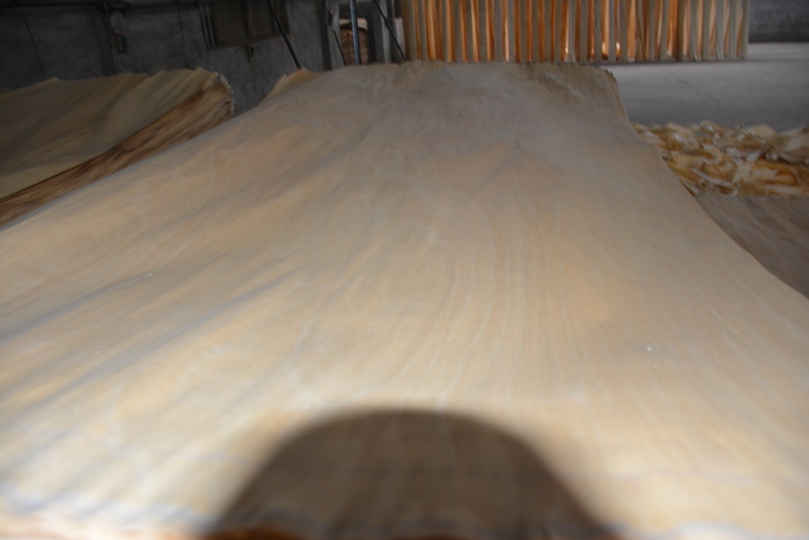 Birch Veneer Sheets | C+ to F Grades, 0.19-0.55 mm
