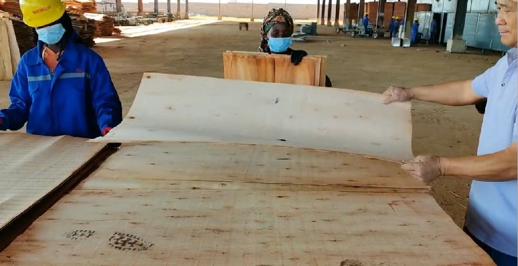 Mozambique Eucalyptus Veneer Sheets | A, B & C Grades