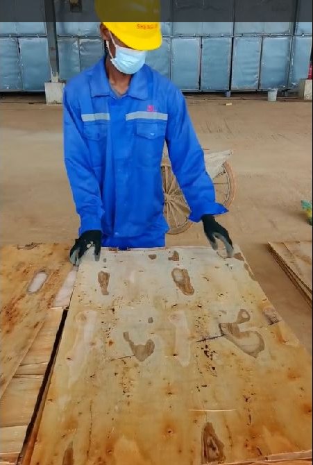 Mozambique Eucalyptus Veneer Sheets | A, B & C Grades