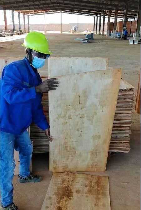 Mozambique Eucalyptus Veneer Sheets | A, B & C Grades