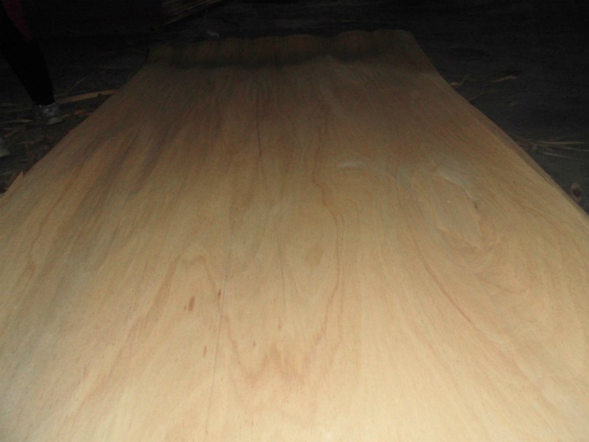 Mersawa veneer sheets showing the natural surface and grain
