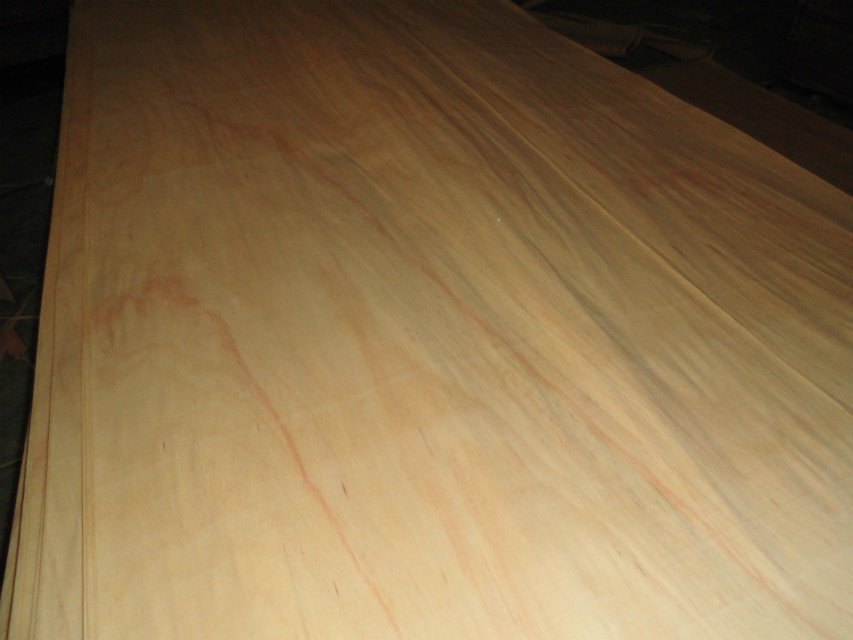 Mersawa veneer sheet surface prepared for visual inspection