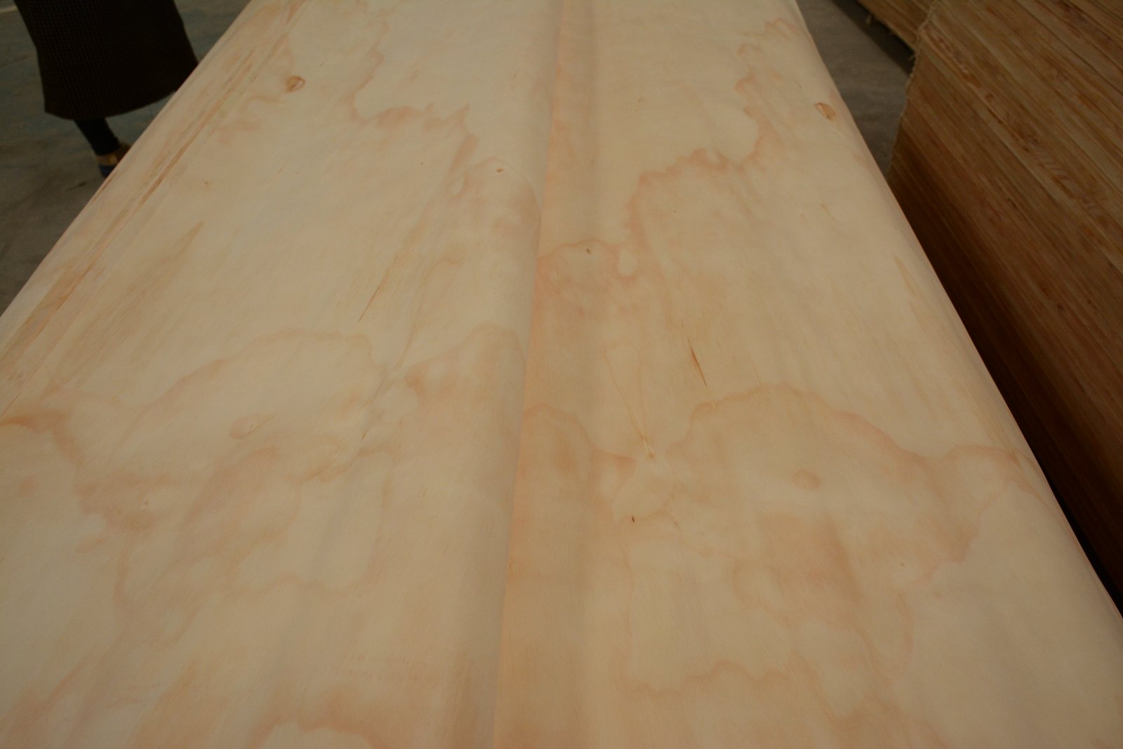 Pine Veneer Sheets | Natural Grain and Visual Selection