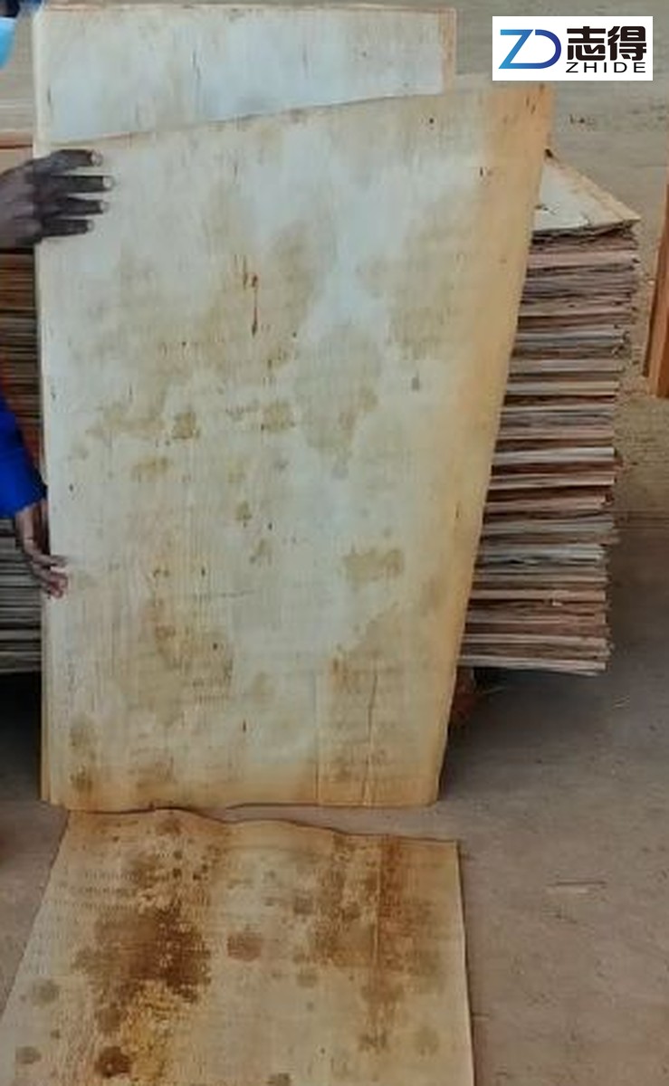 Two historical eucalyptus veneer sheets shown in front of a stacked lot