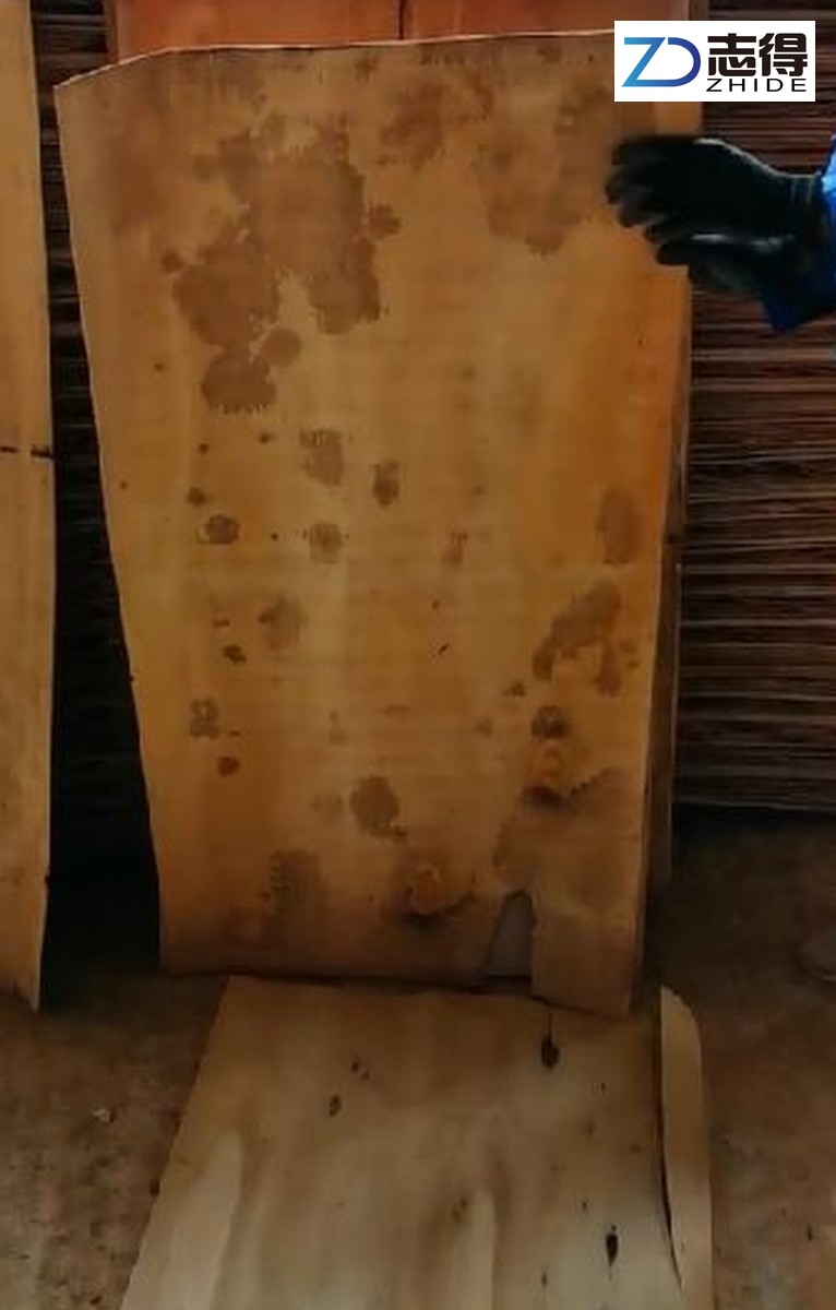 Historical eucalyptus veneer sheet with visible surface variation