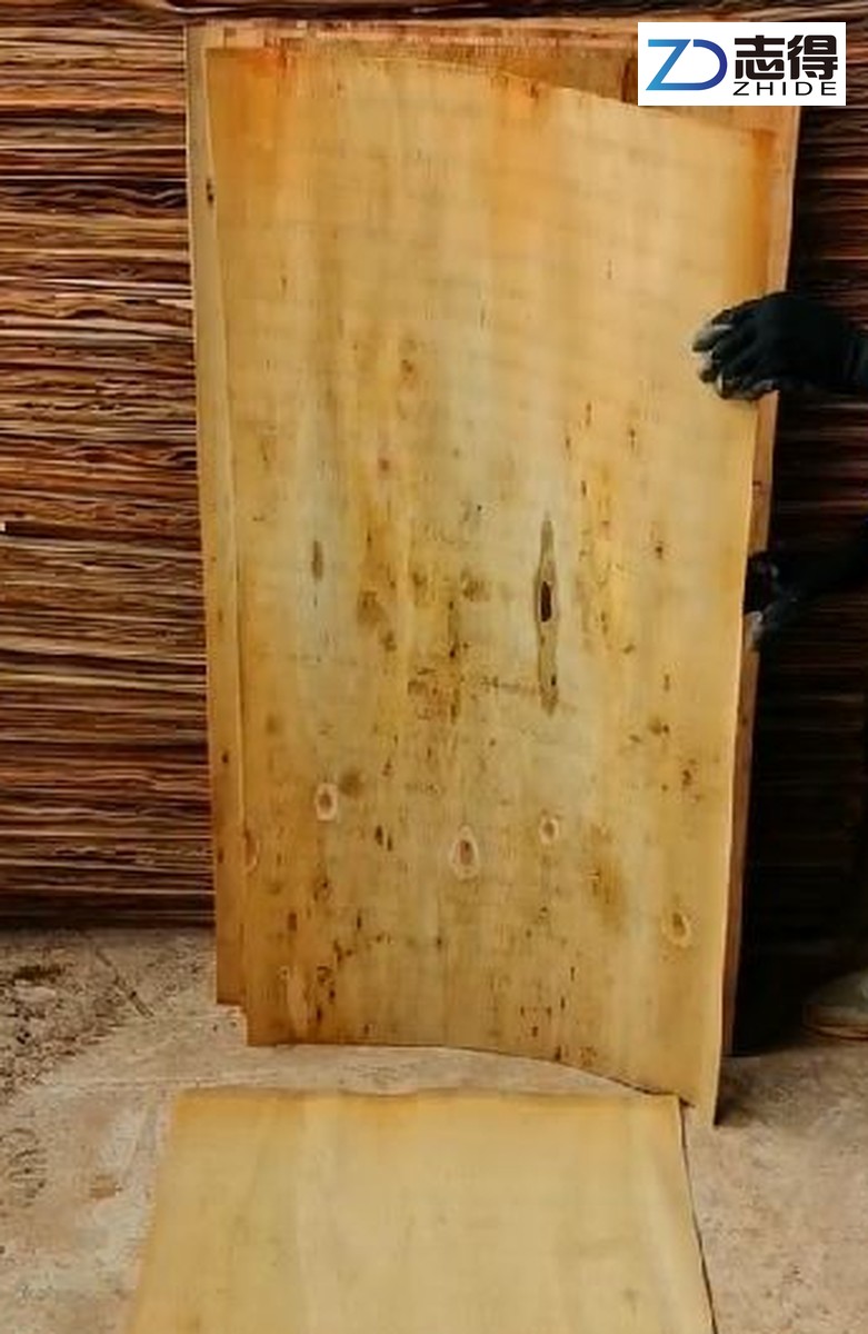 Historical view of several eucalyptus veneer sheets in front of a stack