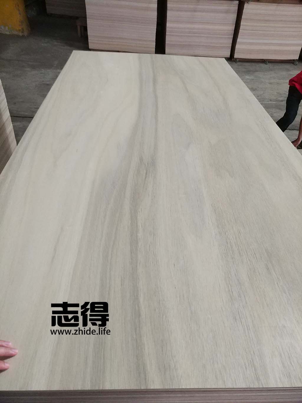 ERI veneer 