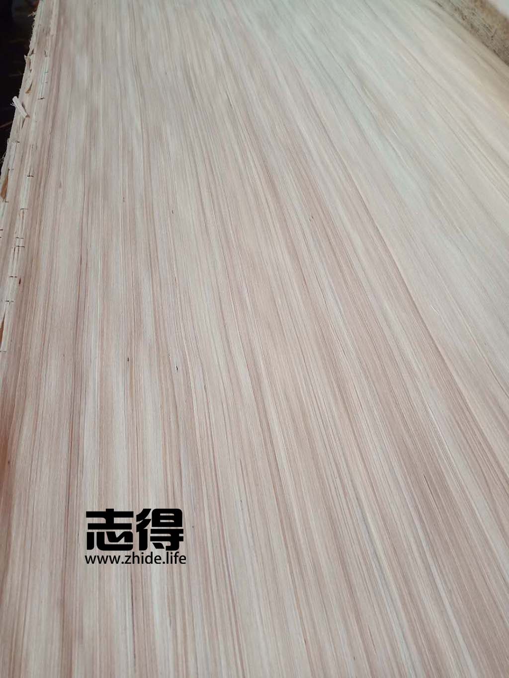 recon poplar veneer A grade