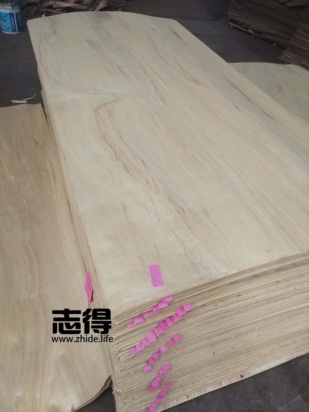 MLH VENEER